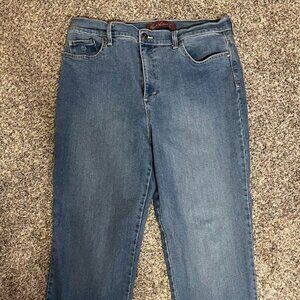 Gloria Vanderbilt Straight Leg Amanda Jean, 14 Short